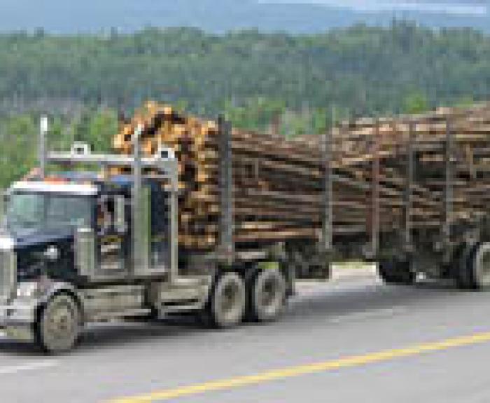 Loaded timber truck is moving across a highway