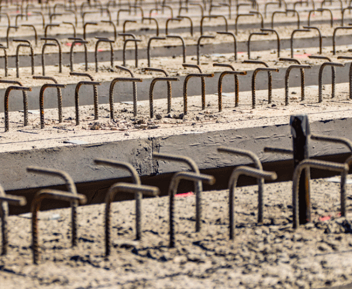 Rebar reminiscent of meerkats standing on hind legs