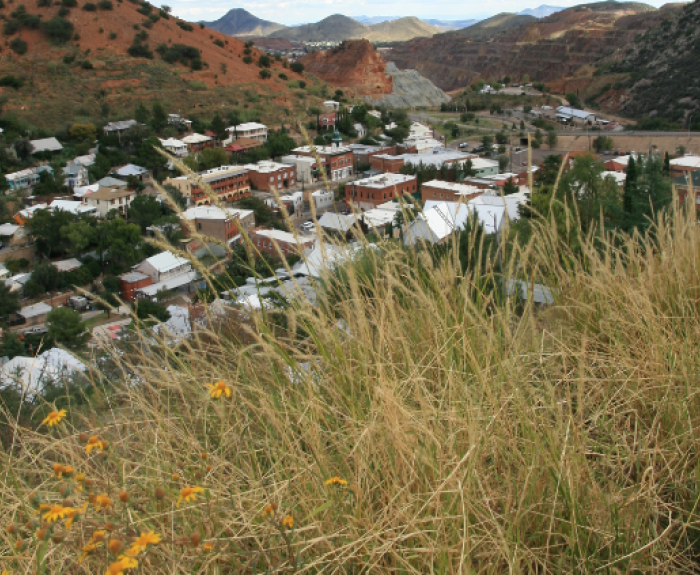 Overgrown vegetation on hills is overlooking the city of Bisbee SR-80