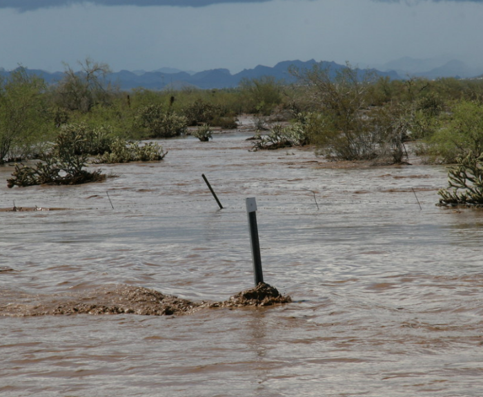 Flooded desert landscape with muddy water covering the ground and partially submerging fence posts and vegetation, with mountains visible in the distance.