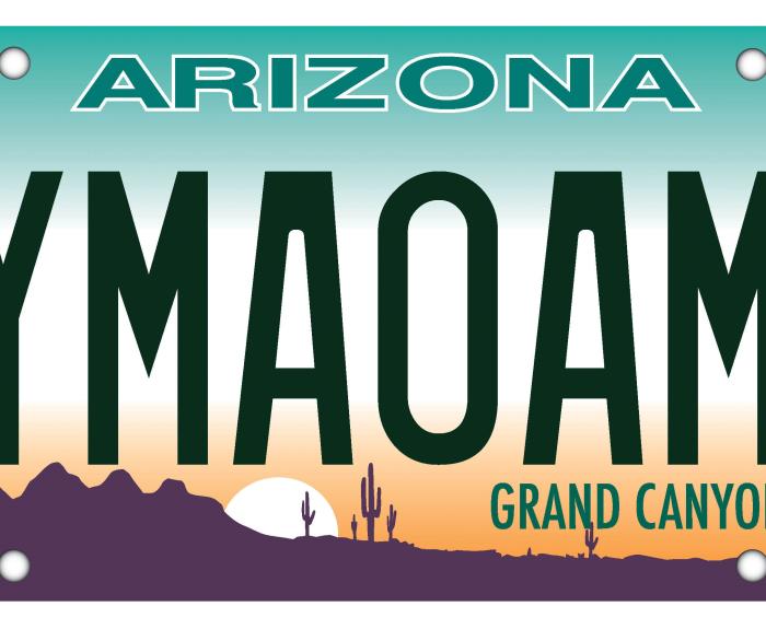 Sample license plate