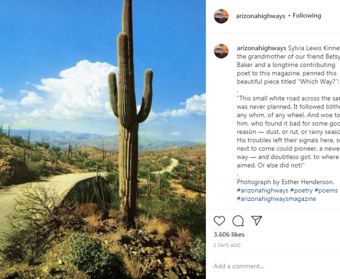 Arizona Highways image of saguaro alongside road