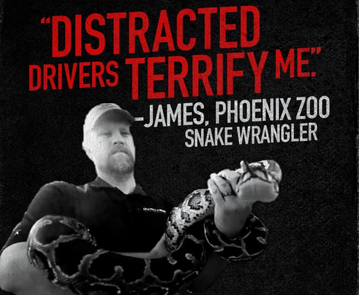 Graphic with snake wrangler saying distracted drivers terrify him