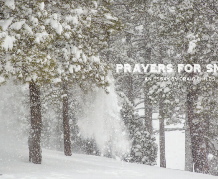 Snow falls heavily on pine trees in a wintry forest; “Prayers for Snow” essay title appears on the right.
