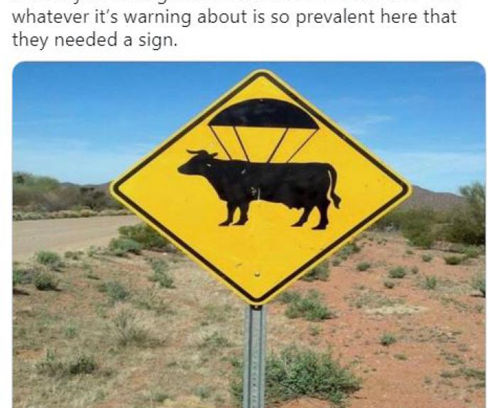 Road sign of cow with a parachute.