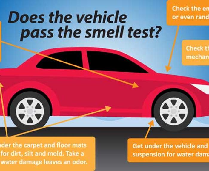Cartoon graphic showing car with buying tips around it and areas to look for