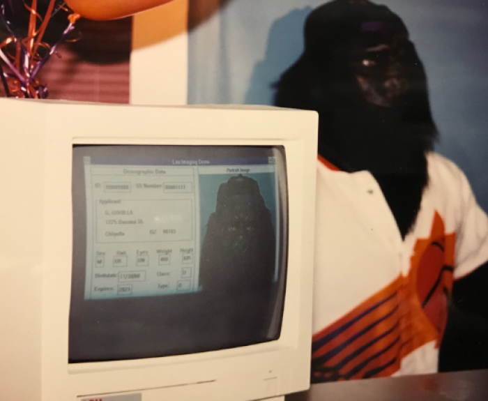 Image of Phoenix Suns' Gorilla getting photo taken at MVD