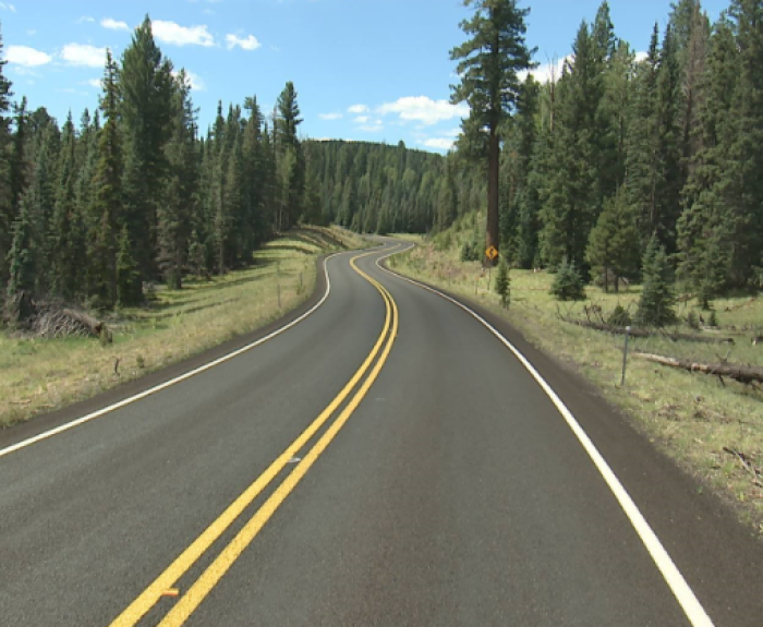 State Route 273 winds through the forest.