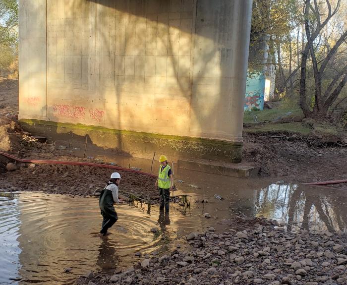 ADOT and NAU biologists work to protect endangered species in the river bed of the Verde Valley Bridge Interstate I-17