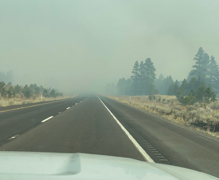 A highway stretches ahead under hazy skies, with thick smoke reducing visibility and trees lining both sides of the road.