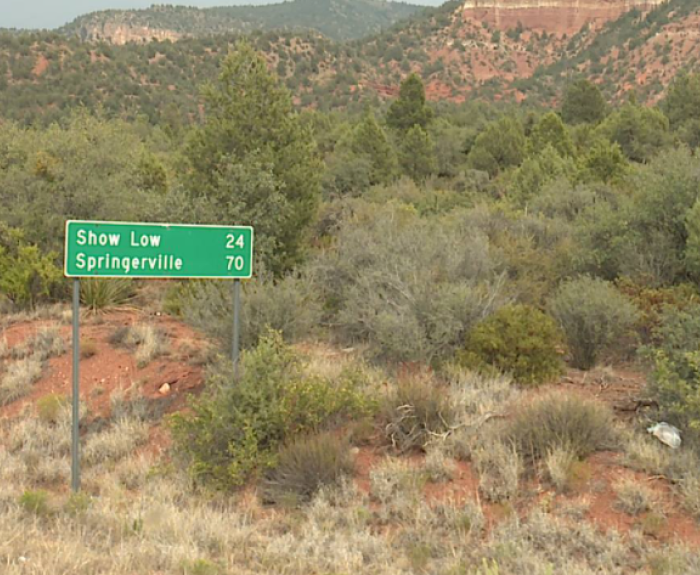 Sign showing miles to Show Low and Springerville