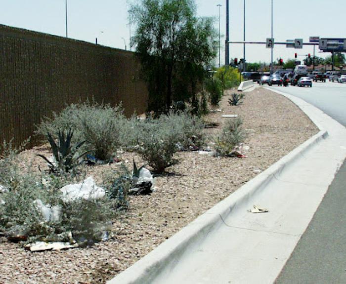 Litter scattered among desert plants beside a road with cars stopped at a traffic light in the background.