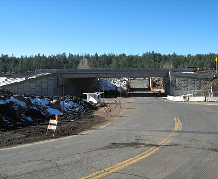 A concrete overpass bridge spans a two-lane road, with snow patches on the ground and construction signs placed along the roadside. Trees line the background.