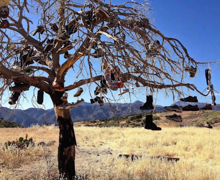 A leafless tree in a dry, grassy field with numerous shoes hanging from its branches under a clear blue sky and mountains in the background.
