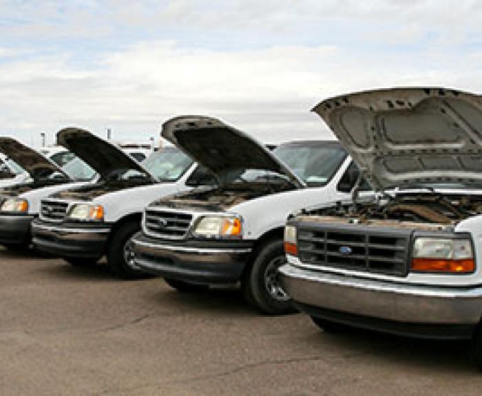 A row of white pickup trucks parked on pavement with their hoods open.