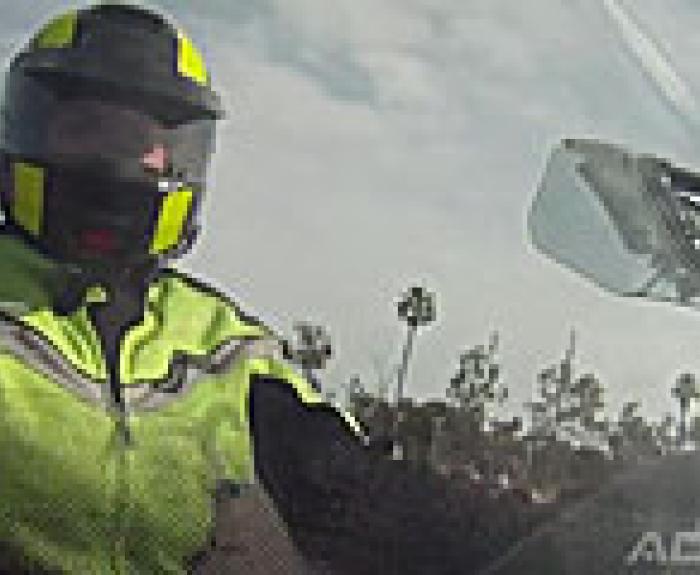 A person wearing a bright yellow and black helmet and safety jacket rides a motorcycle, with trees and a cloudy sky in the background.