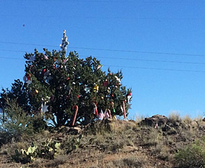 A tree decorated with colorful ornaments and tinsel stands on a rocky hill under a clear blue sky, with desert plants nearby.