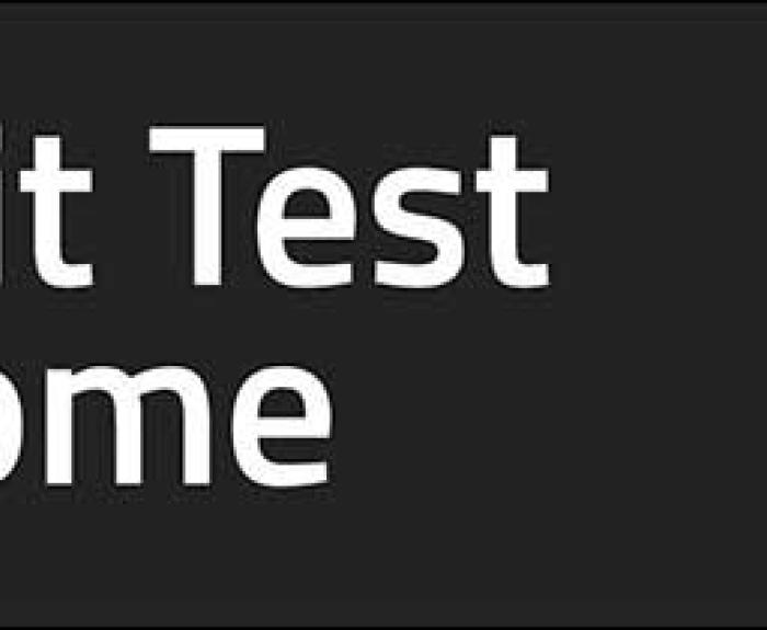 Image that says Permit Test @ Home with traffic light graphic