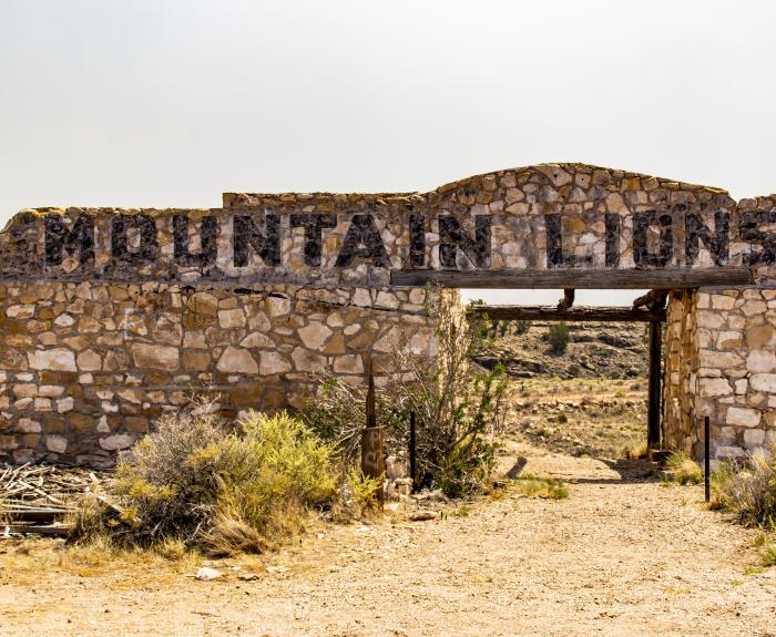 Image of dilapidated stone wall with the words "Mountain Lions" painted on top