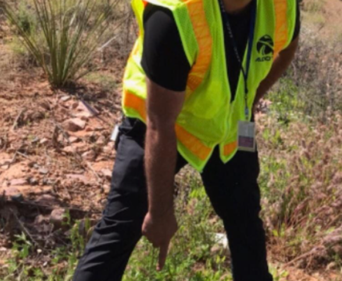 A person wearing a yellow safety vest and black pants stands outdoors on a rocky, grassy area, pointing at a patch of green plants near their feet.
