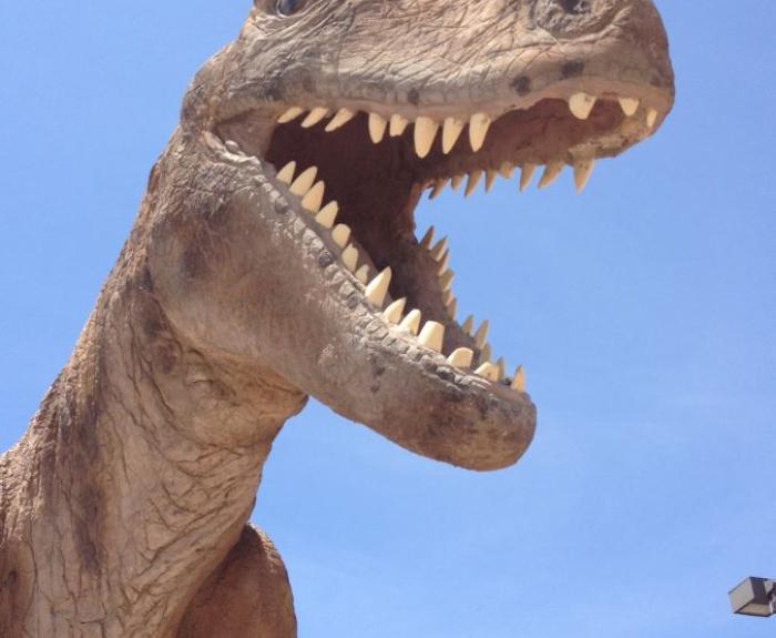 Dinosaur with mouth open showing teeth
