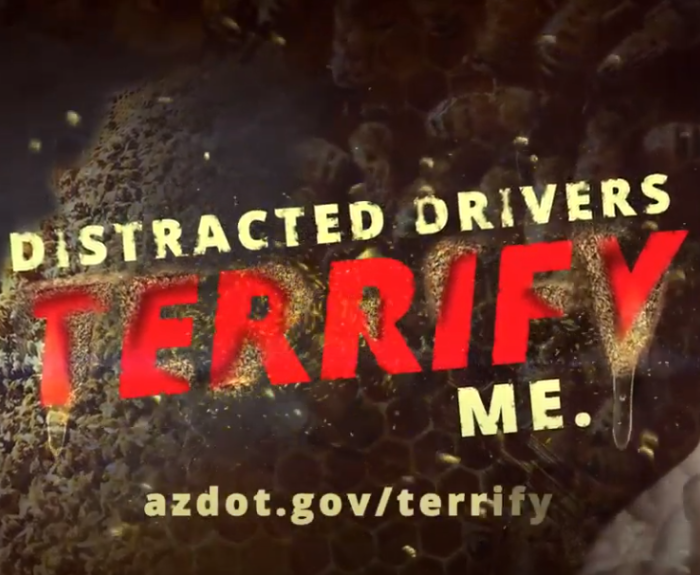 A smiling woman beside bold text: Distracted drivers terrify me. azdot.gov/terrify.