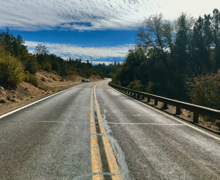 Two lane highway with trees on both sides