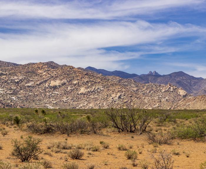 Desert scene with mountains