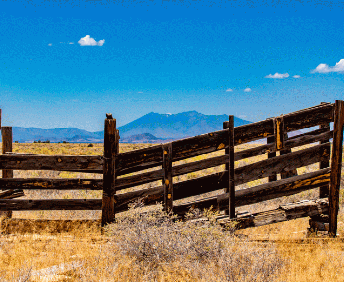Old fence in grassy desert with mountains