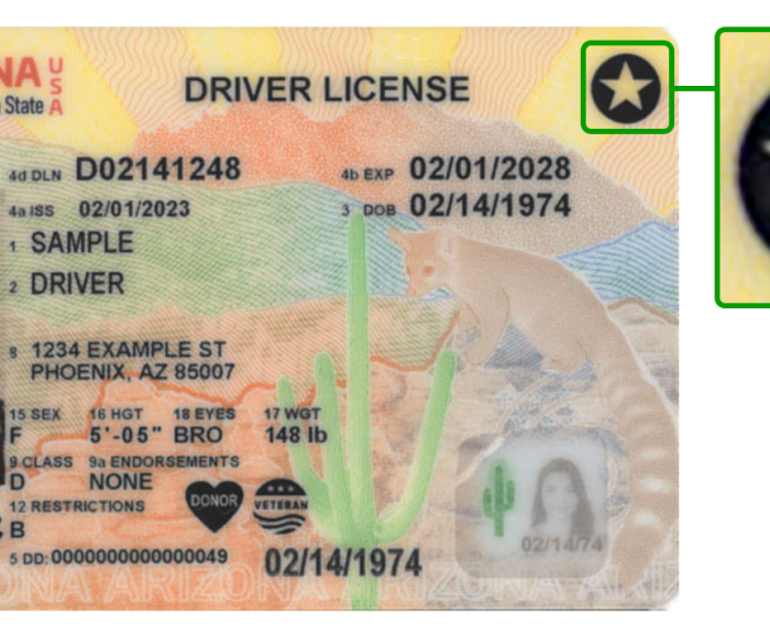 Arizona Travel ID example