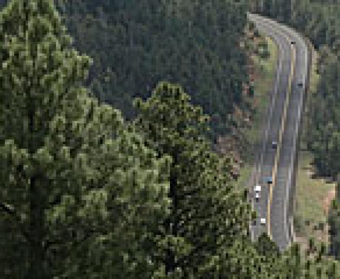 SR260bridgeRehab