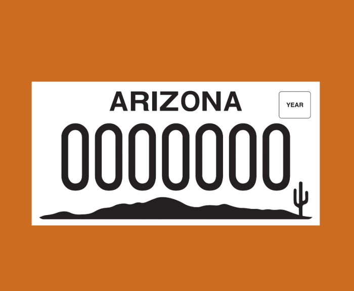 Maverick Community Specialty License Plate