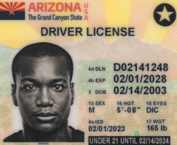 A sample vertical driver license