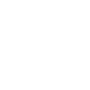 Alert icon